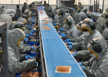 Rusia levantó las restricciones a cinco plantas chilenas, que podrán retomar sus exportaciones de productos del mar tras la auditoría iniciada en 2025. Foto: InfoSALMON