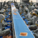 Rusia levantó las restricciones a cinco plantas chilenas, que podrán retomar sus exportaciones de productos del mar tras la auditoría iniciada en 2025. Foto: InfoSALMON