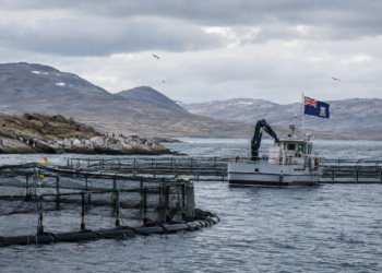 Centro de cultivo de salmones en aguas australes con una bandera de las Islas Malvinas.