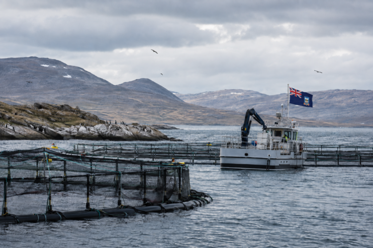 Centro de cultivo de salmones en aguas australes con una bandera de las Islas Malvinas.