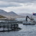 Centro de cultivo de salmones en aguas australes con una bandera de las Islas Malvinas.