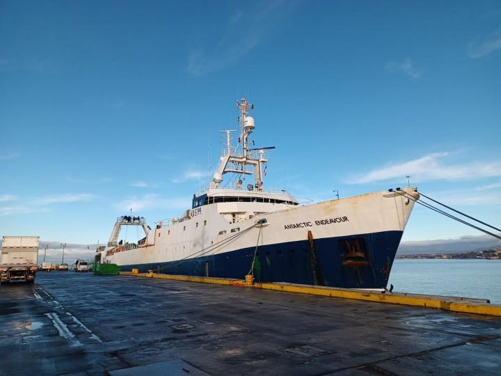 Buque Antarctic Endeavour de Pesca Chile utilizado para la captura de krill antártico.