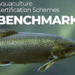 Portada del informe 2026 de bienestar animal en certificaciones acuícolas del Aquatic Life Institute