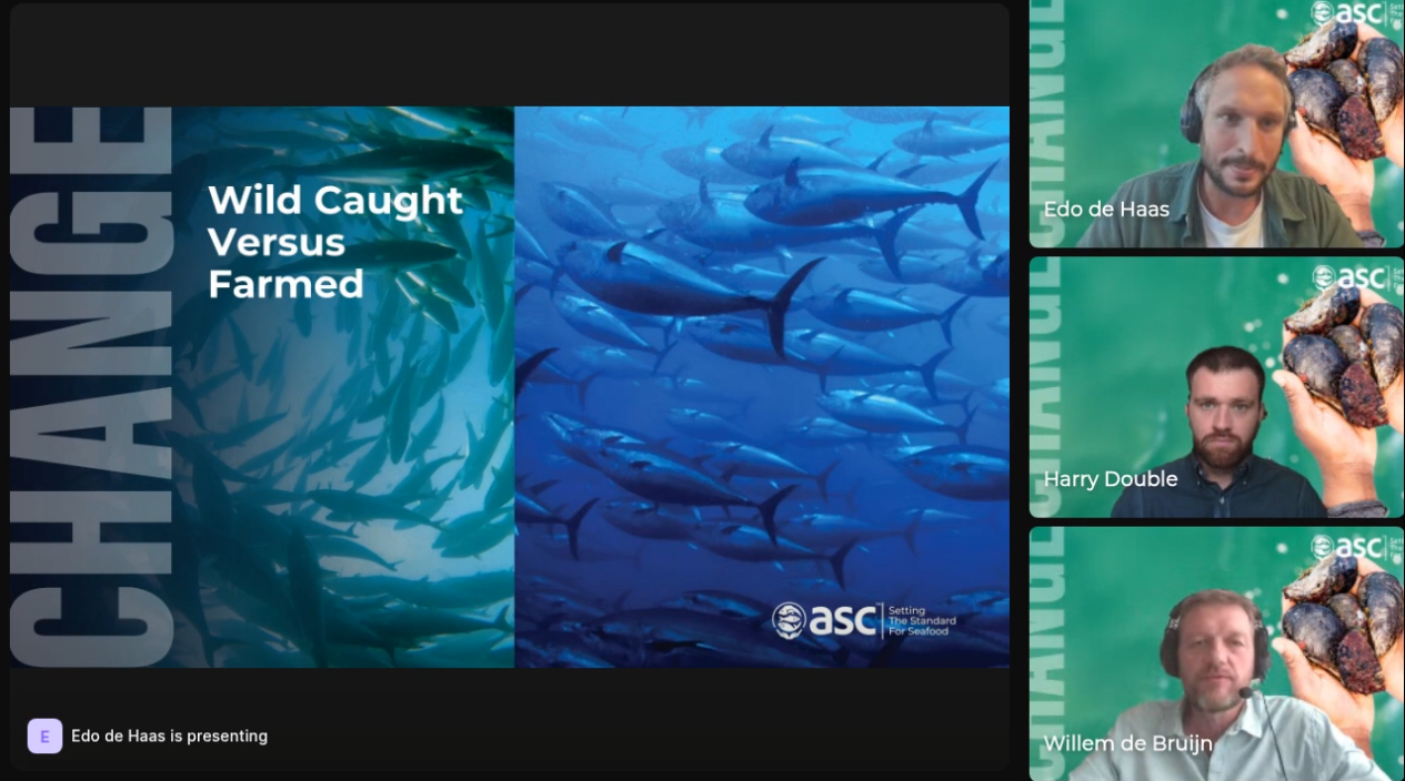 Gráfica del estudio global de ASC comparando la percepción del consumidor entre pesca silvestre y salmón de cultivo.