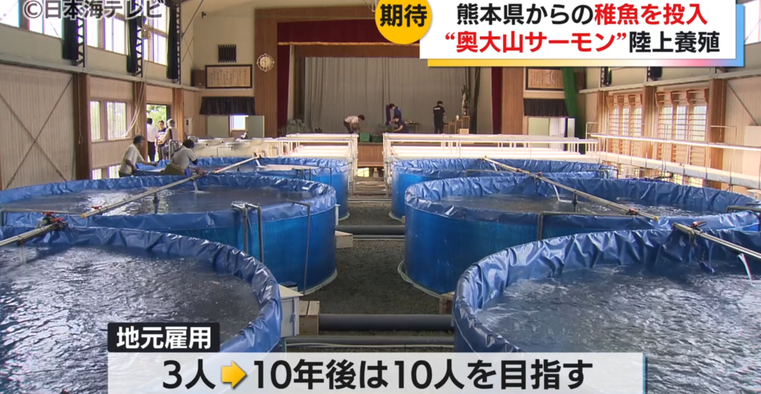 Estanques de cultivo en tierra para salmones instalados dentro del gimnasio de la ex escuela primaria Yonezawa.