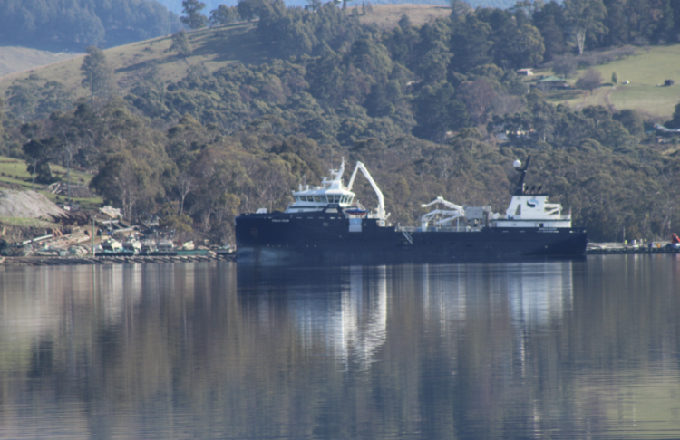 Wellboat atracado junto a una instalación de procesamiento de salmón en Port
Huon, Tasmania. Foto: Lacewing76.