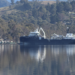 Wellboat atracado junto a una instalación de procesamiento de salmón en Port
Huon, Tasmania. Foto: Lacewing76.