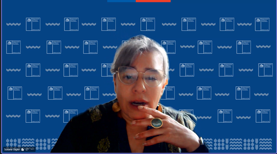 Susana Giglio Muñoz, representante de Subpesca, presentando las líneas de trabajo y financiamiento de proyectos oceanográficos.