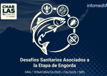 Programa oficial del ciclo de Charlas Técnicas de InfoSALMON sobre desafíos sanitarios en engorda
