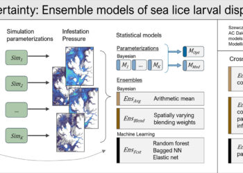 Créditos: Estudio.