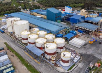 Planta de Panitao de Fiordo Austral. Foto: Fiordo Austral