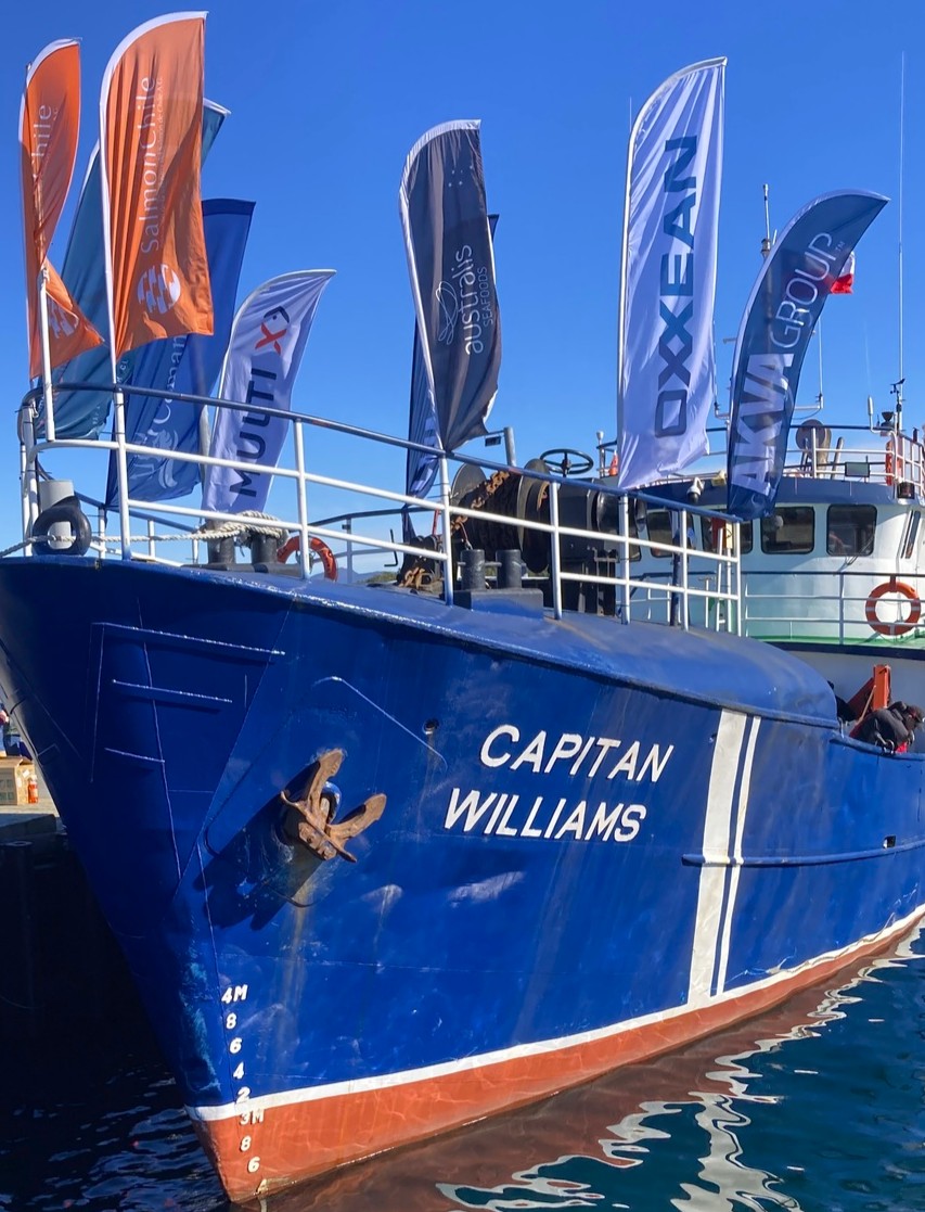 Buque Escuela Capitán Williams navegando por los canales del sur austral.