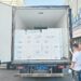 Beijing agilizó el despacho de productos del mar refrigerados en medio del crecimiento de las importaciones de salmón. Foto: Beijing Daily