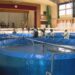 Siembra de alevines de salmón en estanques circulares dentro del gimnasio de una escuela en Kōfu Japón.