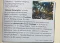 Detalle de páginas de un libro escolar de enseñanza básica de Historia y Geografía de Chile
