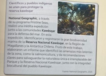 Detalle de páginas de un libro escolar de enseñanza básica de Historia y Geografía de Chile