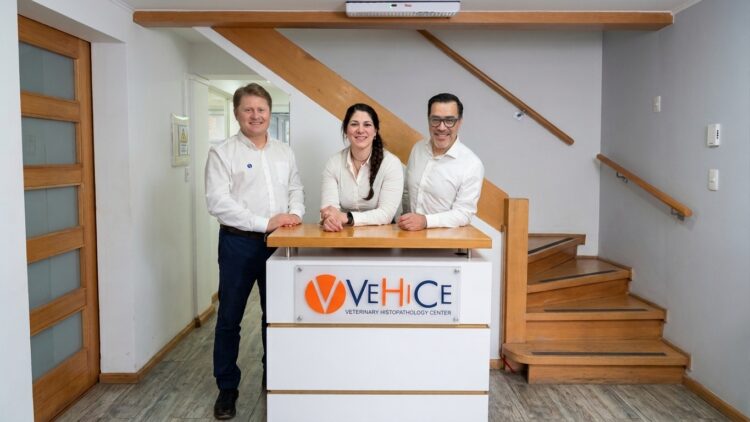 VEHICE