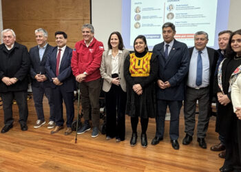 Créditos: Universidad de Los Lagos.