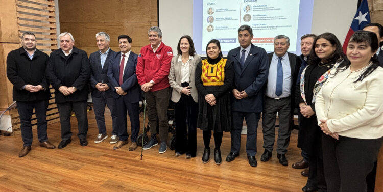 Créditos: Universidad de Los Lagos.