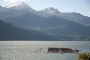 Centro de cultivo de salmones 