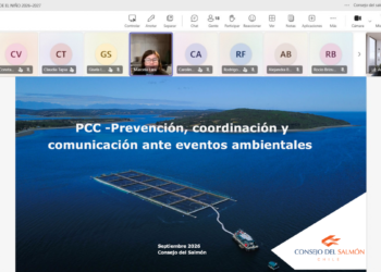 Equipos de comunicaciones de reparticiones públicas y expositores del Consejo del Salmón e IFOP en taller técnico.
