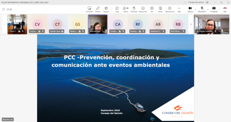 Equipos de comunicaciones de reparticiones públicas y expositores del Consejo del Salmón e IFOP en taller técnico.
