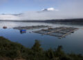 Centro de cultivo de salmón en el estuario de Reloncaví, Región de Los Lagos.