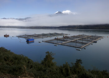 Centro de cultivo de salmón en el estuario de Reloncaví, Región de Los Lagos.