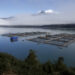 Centro de cultivo de salmón en el estuario de Reloncaví, Región de Los Lagos.