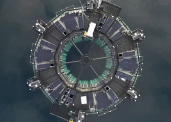 Marine Donut, sistema cerrado flotante para el cultivo de salmón que será adaptado en Canadá