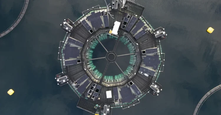 Marine Donut, sistema cerrado flotante para el cultivo de salmón que será adaptado en Canadá