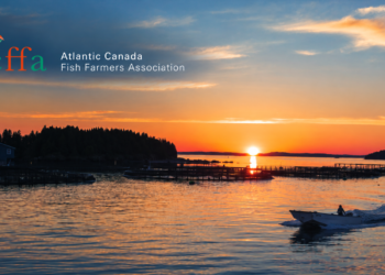 La ACFFA propone duplicar la producción del Canadá atlántico hacia 2035 y agilizar permisos para impulsar la salmonicultura en Canadá. Foto: ACFFA