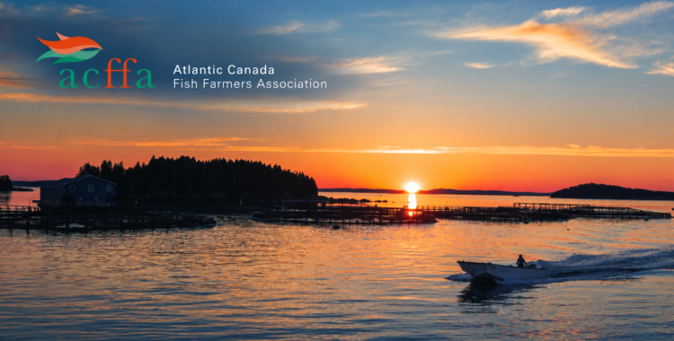 La ACFFA propone duplicar la producción del Canadá atlántico hacia 2035 y agilizar permisos para impulsar la salmonicultura en Canadá. Foto: ACFFA