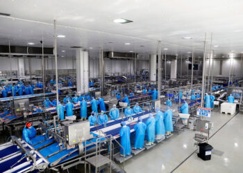 Trabajadores procesan filetes de salmón chileno en una planta industrial