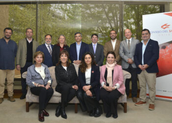 Autoridades de Gobierno, alcaldes de Aysén y directivos del Consejo del Salmón durante encuentro de diálogo en Santiago.