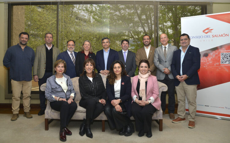 Autoridades de Gobierno, alcaldes de Aysén y directivos del Consejo del Salmón durante encuentro de diálogo en Santiago.