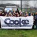 Estudiantes de la Escuela Cayenel participaron junto a Cooke Aquaculture en una jornada de educación ambiental, biodiversidad y plantación de árboles nativos. Foto: InfoSALMON