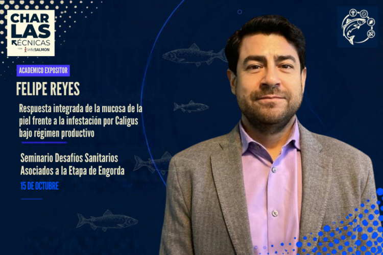Académico de FAVET Felipe Reyes López expositor del módulo Caligidosis en evento InfoSALMON.