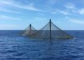Dos jaulas SeaStation de Innovasea en el mar.
