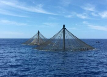 Dos jaulas SeaStation de Innovasea en el mar.