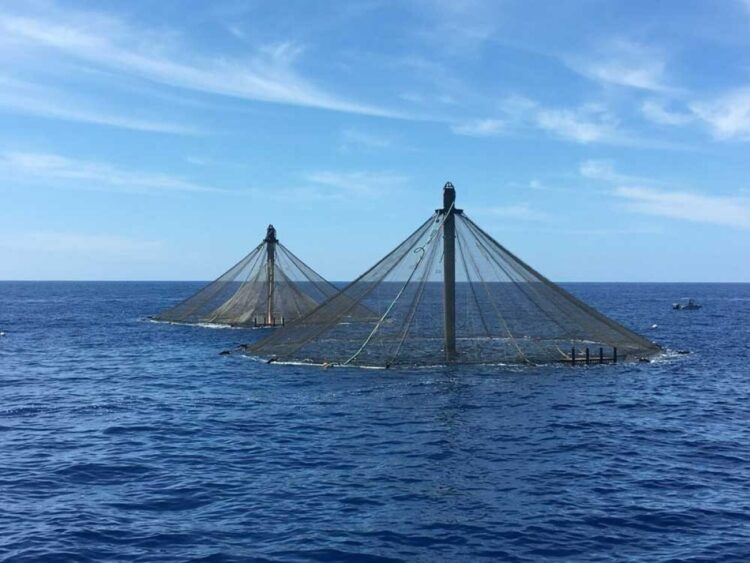 Dos jaulas SeaStation de Innovasea en el mar.