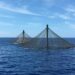 Dos jaulas SeaStation de Innovasea en el mar.