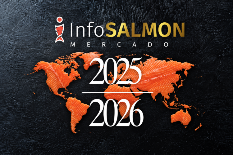 InfoSALMON lanza “Mercados”: una mirada al valor, los destinos y las nuevas claves de la salmonicultura chilena