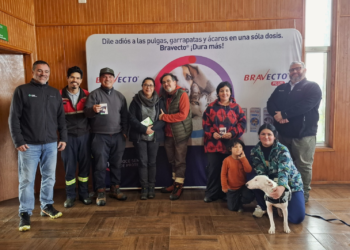 MSD Salud Animal, AquaChile y USS realizaron un operativo veterinario en Calbuco, con vacunación y desparasitación de más de 30 mascotas. Foto: MSD