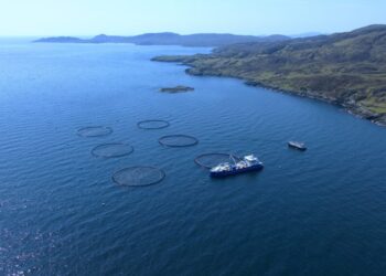 Vista aérea de las jaulas de cultivo de salmón de Mowi en Stulaigh South, Escocia.