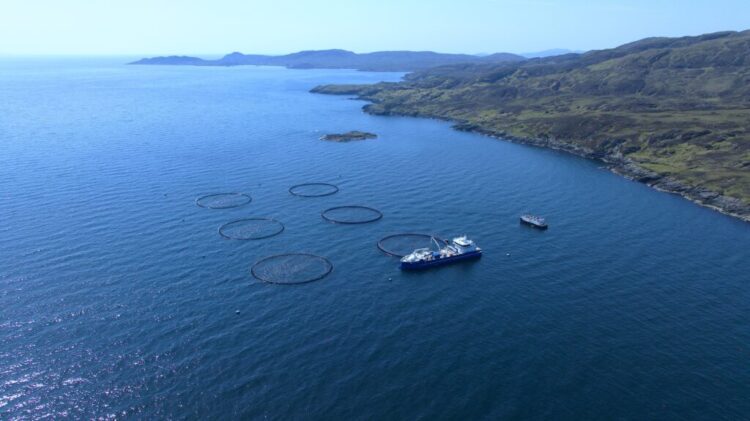 Vista aérea de las jaulas de cultivo de salmón de Mowi en Stulaigh South, Escocia.