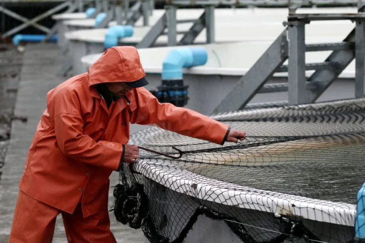 Trabajador realizando labores en las jaulas de un centro de cultivo de salmones.