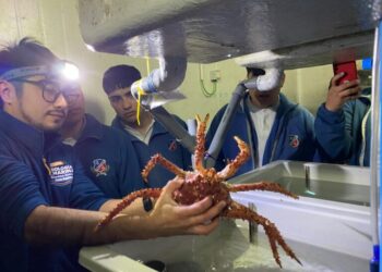 Estudiantes de Ancud conocen la investigación acuícola en una visita a la UACh