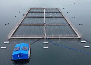 Plataforma OXYMAR de OXZO junto a un centro de cultivo de salmones en el mar