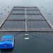 Plataforma OXYMAR de OXZO junto a un centro de cultivo de salmones en el mar